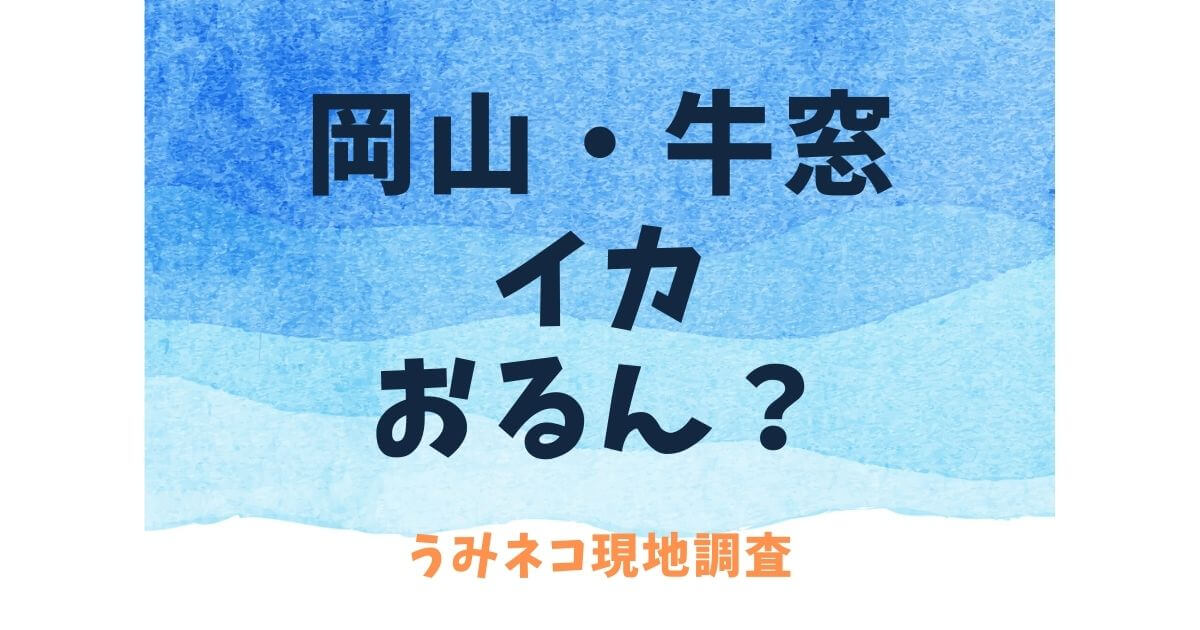 岡山県牛窓エリアエギング イカの現地調査に行ってきました