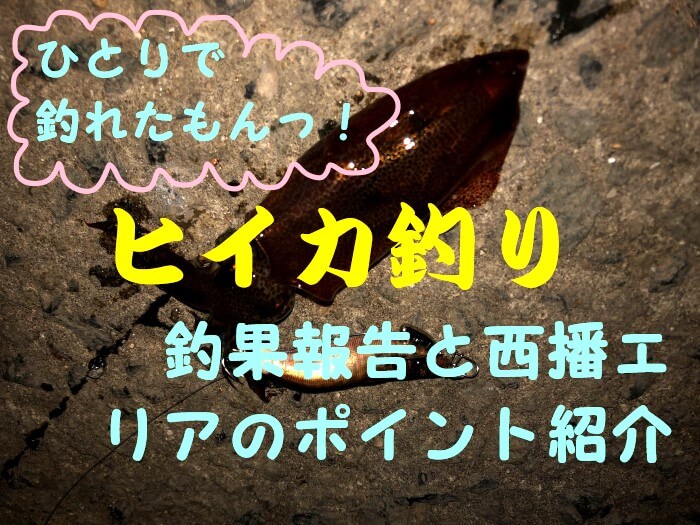 姫路 妻鹿漁港 ヒイカ釣り釣果 西播エリアのポイント紹介