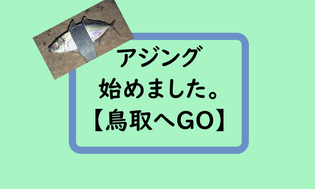 【鳥取へ】アジング、始めました。